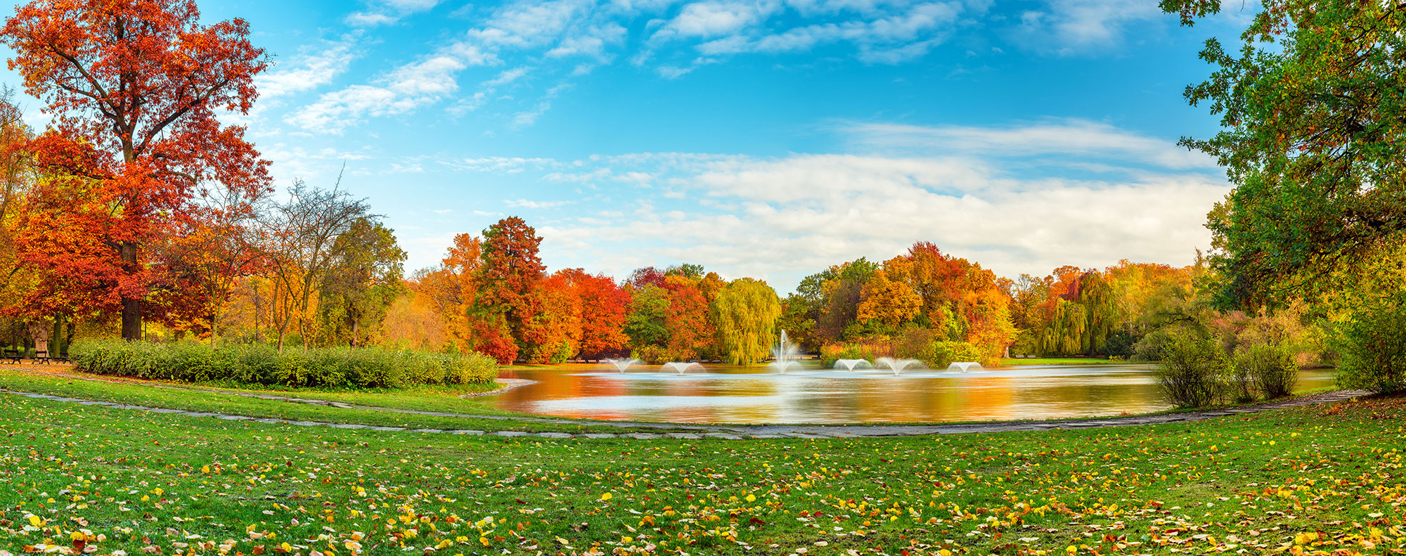 Fall Weather in Spring Texas image