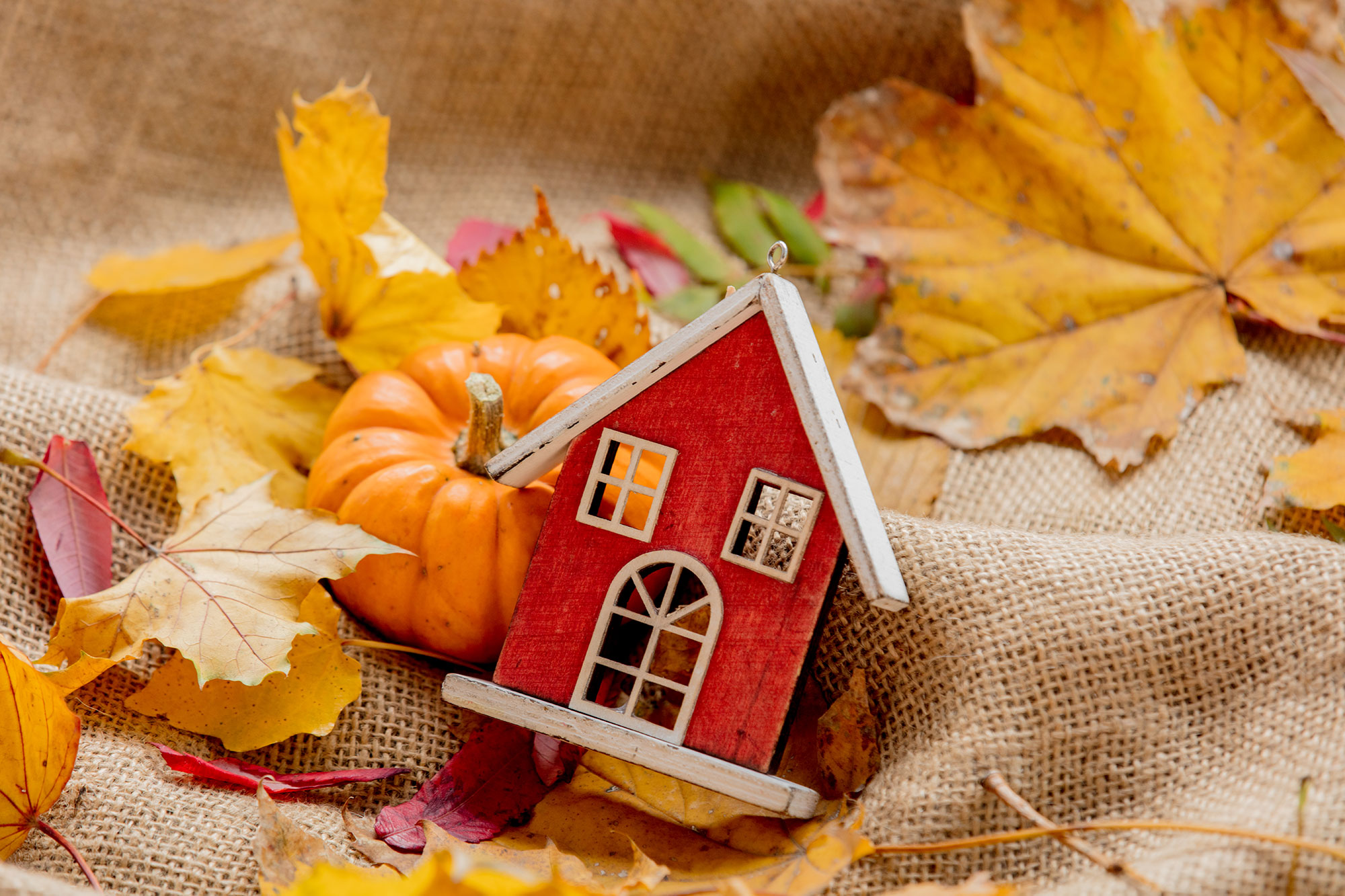 photo of home in the autumn months with leaves